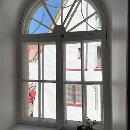 Unique In Vanalinn, Old Town Lägenhet *