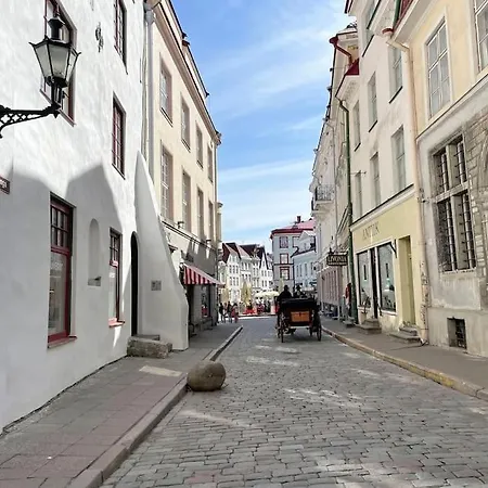 아파트 Unique In Vanalinn, Old Town
