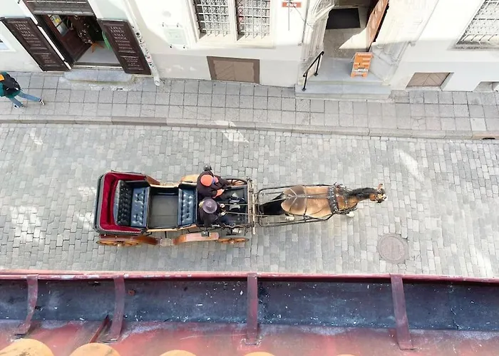 Lägenhet Unique In Vanalinn, Old Town Tallinn